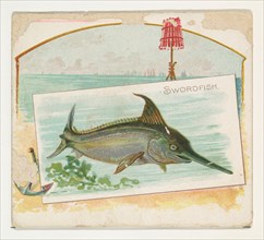 Swordfish, from Fish from American Waters series (N39) for Allen & Ginter Cigarettes, 1889.