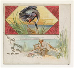 Great Blue Heron, from the Game Birds series (N40) for Allen & Ginter Cigarettes, 1888-90.