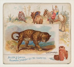 Leopard, from Quadrupeds series (N41) for Allen & Ginter Cigarettes, 1890.