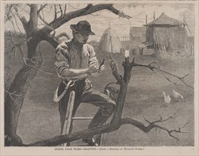 Spring Farm Work - Grafting (Harper's Weekly, Vol. XIV), April 30, 1870.