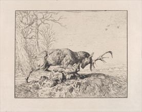 Stag Fighting a Wolf