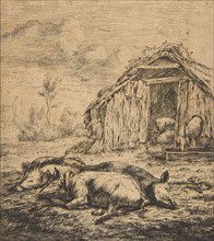 Three Pigs Lying in Front of a Shed