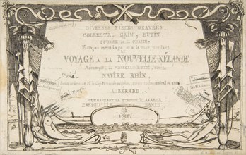 Cover: The Voyage to New Zealand (1842 - 46)