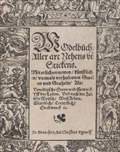 Title page from the Modelbuch aller Art Nehens vn Stickens (Page 1r)
