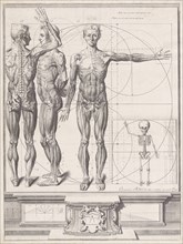 Plate for the ?Atlas Anatomico? (unpublished)
