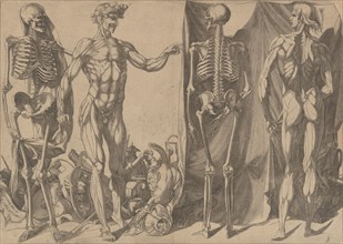 Two Flayed Men and Their Skeletons