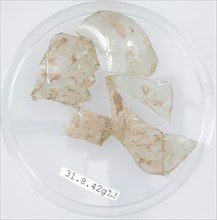 Glass Fragments