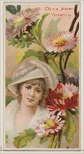 China Aster: Versatility, from the series Floral Beauties and Language of Flowers (N75) for Duke brand cigarettes, 1892.