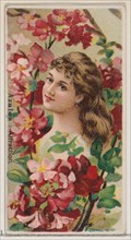 Azalea: Attraction, from the series Floral Beauties and Language of Flowers (N75) for Duke brand cigarettes, 1892.