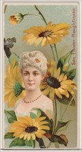 Sunflower: Haughtiness, from the series Floral Beauties and Language of Flowers (N75) for Duke brand cigarettes, 1892.