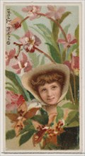 Orchid: Trust, from the series Floral Beauties and Language of Flowers (N75) for Duke brand cigarettes, 1892.