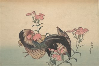 Cock, Hen, and Nadeshiko (Dianthus Superbus).