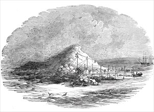 The Island of Ichaboe, 1844. Creator: Unknown.