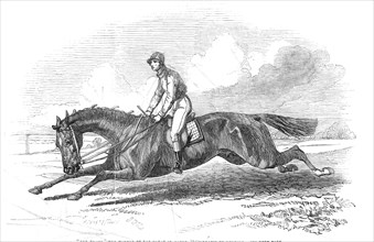 The Baron, the winner of the Great St. Leger 1845 - drawn by Herring, 1845. Creator: Unknown.