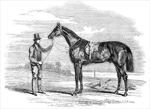 Foigh-a-Ballagh, the winner of the Great St. Leger..., 1844. Creator: Unknown.