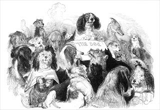 The Dog Bill Committee, drawn by T. Landseer, 1844. Creator: Thomas Landseer.