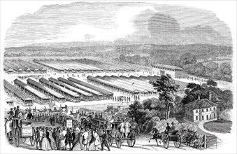 The Cattle Show, Portswood, 1844. Creator: Unknown.