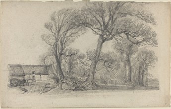 Landscape with Trees