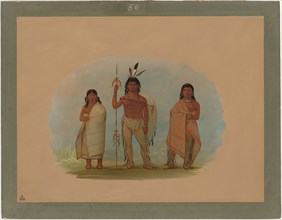 Ottowa Chief