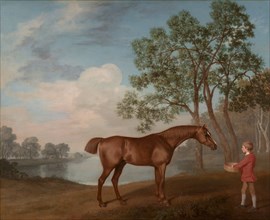 Pumpkin with a Stable-lad;A Hunter in a landscape, with bay, groom in crimson coat with sieve;Portrait of the Racehorse, Pumpkin, 1774.