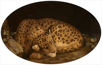 Sleeping Leopard, 1777.
