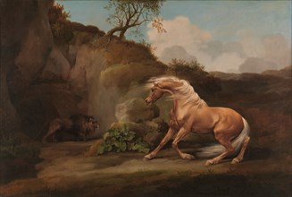 Horse Frightened by a Lion;Horse and Lion;Lion frightened by a Horse, between 1762 and 1768.