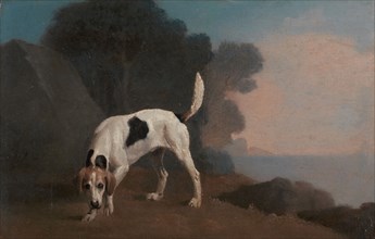 Foxhound;Foxhound on the Scent, ca. 1760.