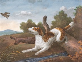 Springer: A Spaniel Bounding Over a Log to Spring a Snipe on the Left, ca. 1805. after Philip Reinagle