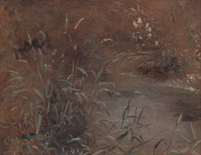 Rushes by a pool, ca. 1821.