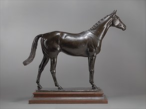 The Tetrarch;The Racehorse, The Tetrarch, ca. 1913.