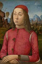 Portrait of a Youth, c. 1495/1500.
