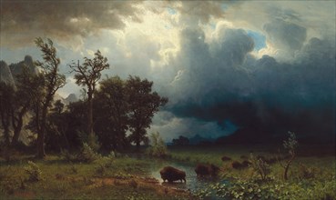 Buffalo Trail: The Impending Storm, 1869.