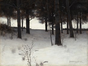 Woods in Winter, 1886.