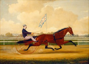 Budd Doble Driving Goldsmith Maid at Belmont Driving Park, 1876.