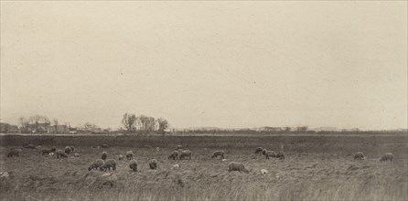 Marshes by the North Sea, 1890-1891, printed 1893.