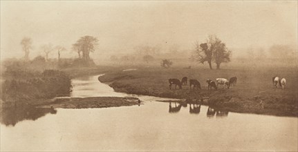 Sheep on the Marshes [Landscape with Cattle], 1890-1891, printed 1893.