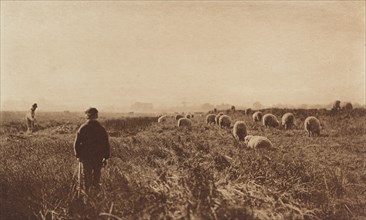 The Marshes in June, 1890-1891, printed 1893.