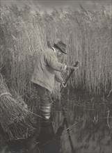 A Reed-Cutter at Work, 1886.