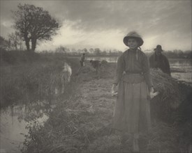 Poling the Marsh Hay, 1886.