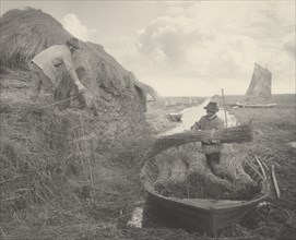 Ricking the Reed, 1886.