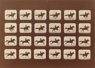 Horses. Running. Phyrne L. No. 40, 1879.