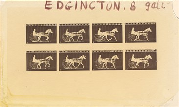 Internegative for Horses. Trotting. Abe Edgington. No. 28, 1878.