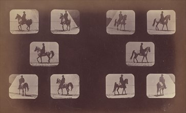 Studies of Foreshortenings. Horses. Walking. Mahomet. Nos. 119-120, 1879.