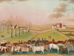 The Cornell Farm, 1848.