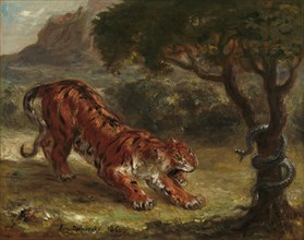 Tiger and Snake, 1862.