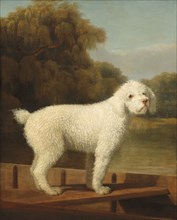 White Poodle in a Punt, c. 1780.