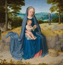 The Rest on the Flight into Egypt, c. 1510.