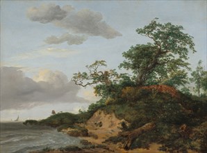 Dunes by the Sea, 1648.