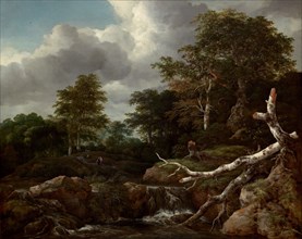 Forest Scene, c. 1655.