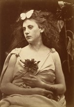 The Sunflower, early 1870s.